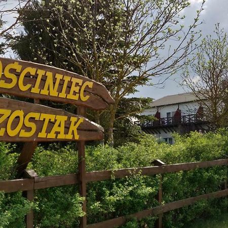 Вилла Gosciniec Szostak Czarnowka Экстерьер фото